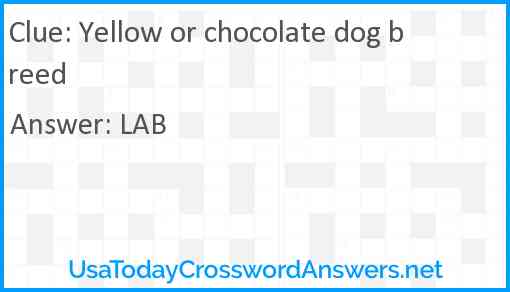 Yellow or chocolate dog breed Answer