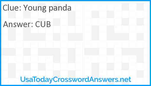 Young panda Answer